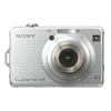 sony w100